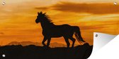 Tuinposter Silhouet van een wild mustang paard - 80x30 cm - Wanddecoratie Buiten - Tuinposter - Tuindoek - Schuttingposter - Tuinschilderij