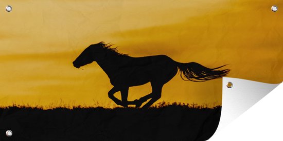Tuinposter Silhouet van een sprintende mustang paard - 170x80 cm - Wanddecoratie Buiten - Tuinposter - Tuindoek - Schuttingposter - Tuinschilderij