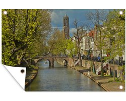 Tuindecoratie Planten - Utrecht - Water - 60x40 cm - Tuinposter - Tuindoek - Buitenposter