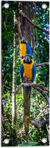 WallClassics - Tuinposter – Exotische Vogels - Ara's - 20x60 cm Foto op Tuinposter (wanddecoratie voor buiten en binnen)