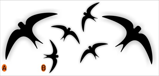 Zwaluw Vogelbescherming stickers set 6 vogels kleur Zwart