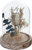 Glazen bel van gedroogde bloemen 17 cm - Overig - Wit - Wit - SILUMEN