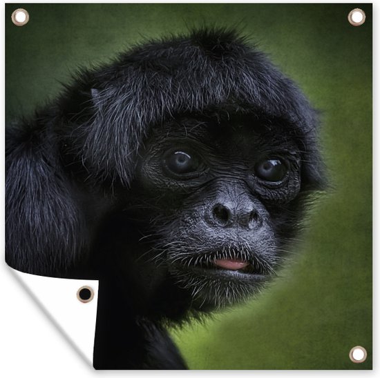 Tuin poster Een portret van een slingeraap - 200x200 cm - Tuindoek ...