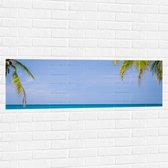 Muursticker - Palmbladeren op Tropisch Strand - 120x40 cm Foto op Muursticker