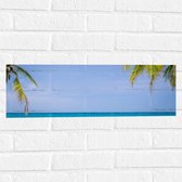 Muursticker - Palmbladeren op Tropisch Strand - 60x20 cm Foto op Muursticker