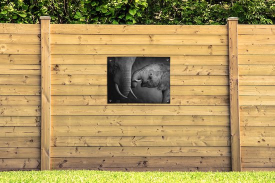 Tableau jardin Animaux sauvages - Éléphant - Zwart - Wit - Portrait - 80x60 cm - Affiche jardin - Toile jardin - Affiche extérieur