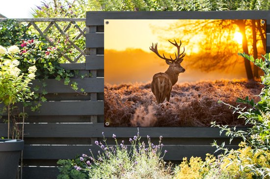 Een tuinposter met een hert in de ochtendzon hangt aan een houten schutting.
