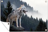 Tuindecoratie Wolf - Dier - Bos - 60x40 cm - Tuinposter - Tuindoek - Buitenposter