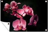 Tuinposter - Tuindoek - Tuinposters buiten - Planten - Orchidee - Bloemen - Roze - 120x80 cm - Tuin