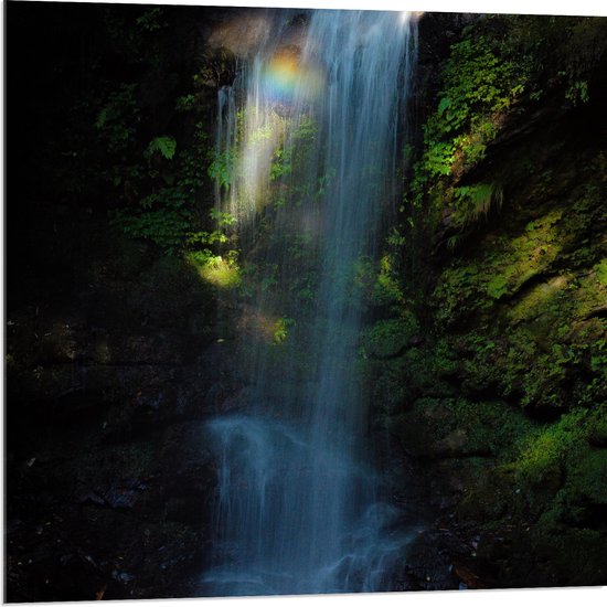 WallClassics - Acrylglas - Waterval in Groen Bos - 80x80 cm Foto op Acrylglas (Met Ophangsysteem)