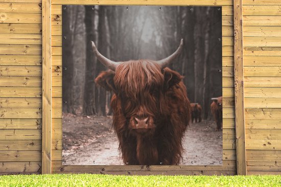 Affiche de Jardin Highlander écossais - Animaux - Vaches - 200x200 cm