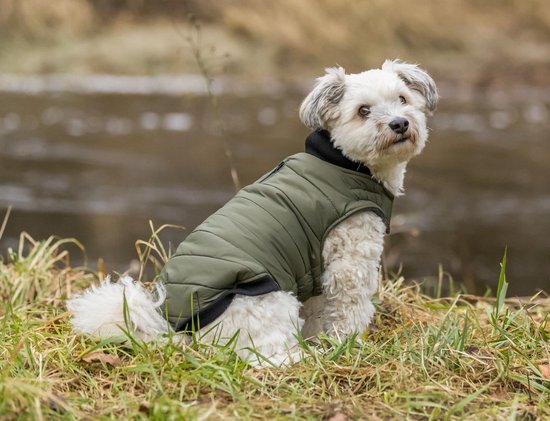 Manteau pour chien Trixie arlay vert foncé Xs 30 cm | bol.com
