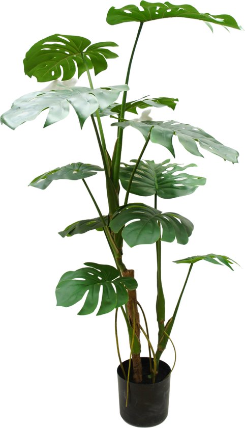 Greenmoods Kunstplanten - Kunstplanten - Kunstplant Monstera - Zijde - 120 cm