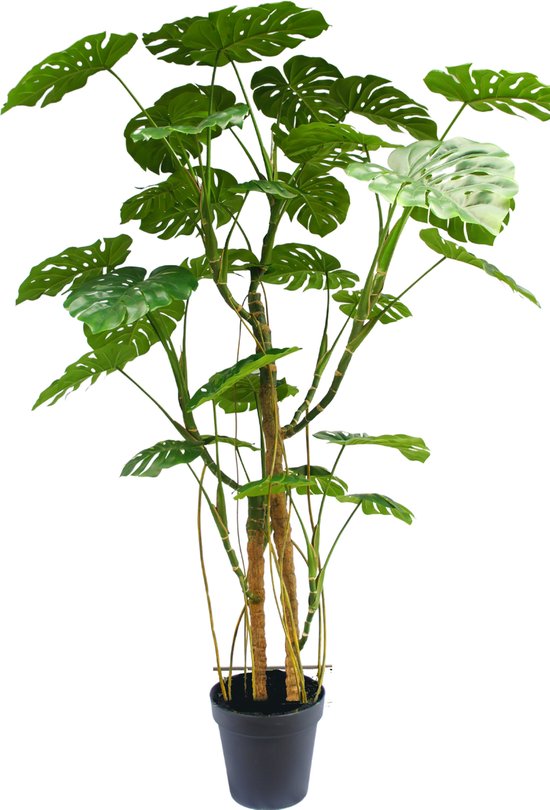 Greenmoods Kunstplanten - Kunstplanten - Kunstplant Monstera - Zijde - 240 cm