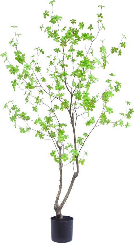 Greenmoods Kunstplanten - Kunstplanten - Kunstplant Enkianthus - Zijde - 180 cm