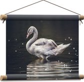 WallClassics - Textielposter - Grijze Knobbel Zwaan Staand in het Water - 40x30 cm Foto op Textiel