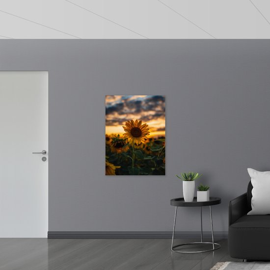 WallClassics - Poster (Matte) - Tournesol dans un champ avec coucher de soleil - 75x100 cm Photo sur Papier Poster d'aspect Mat