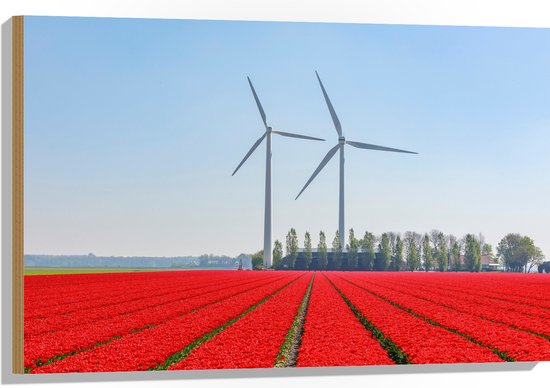 WallClassics - Hout - Windmolens Langs een Rood Tulpen Veld - 90x60 cm - 9 mm dik - Foto op Hout (Met Ophangsysteem)