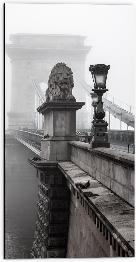 WallClassics - Dibond - Kettingbrug over het Water - Boedapest - 50x100 cm Foto op Aluminium (Wanddecoratie van metaal)