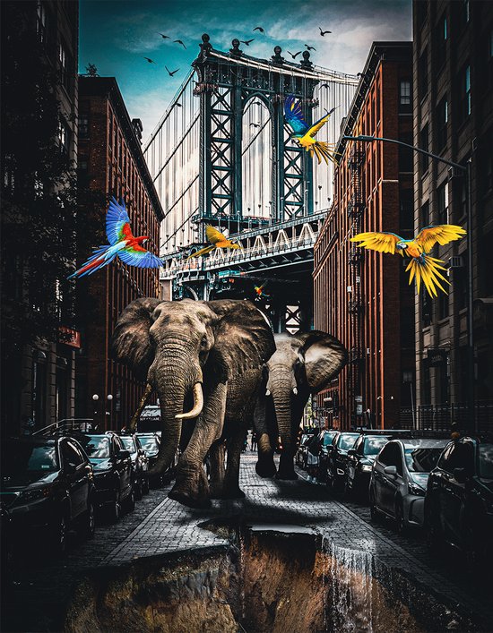 Schilderij - Dibond ophangplaat - Elephant In Brooklyn 60x80cm