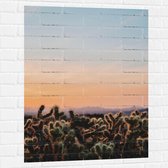 WallClassics - Muursticker - Cylindropuntia Fulgida Plantjes voor Berglandschap met Oranje Lucht - 75x100 cm Foto op Muursticker