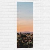 WallClassics - Muursticker - Cylindropuntia Fulgida Plantjes voor Berglandschap met Oranje Lucht - 40x120 cm Foto op Muursticker