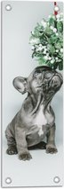 WallClassics - Tuinposter – Grijs Hondje met Groene Blaadjes - 20x60 cm Foto op Tuinposter (wanddecoratie voor buiten en binnen)