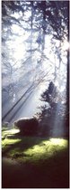 WallClassics - Poster brillant – Soleil brillant à travers les Arbres – Photo 20 x 60 cm sur papier poster avec finition brillante