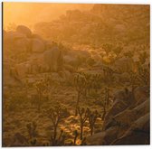 WallClassics - Dibond - Fumée Oranje sur paysage de montagne - Photo 50x50 cm sur aluminium (avec système de suspension)