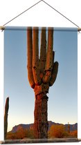 WallClassics - Textielposter - Zon Schijnt op Cactus - 60x90 cm Foto op Textiel