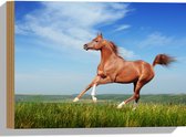 Hout - Rood Arabisch Paard met Blauwe Lucht - 40x30 cm - 9 mm dik - Foto op Hout (Met Ophangsysteem)