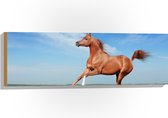 Hout - Rood Arabisch Paard met Blauwe Lucht - 90x30 cm - 9 mm dik - Foto op Hout (Met Ophangsysteem)