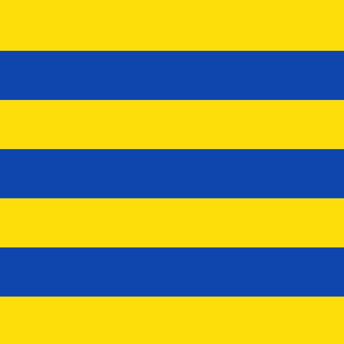 Vlag Amay 120x180cm