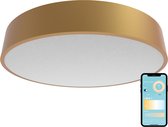 Gologi Slimme Plafondlamp – Plafondlampen – LED RGB – Plafonniere – Industrieel – Slaapkamer & Woonkamer – Ø 30cm – Goud