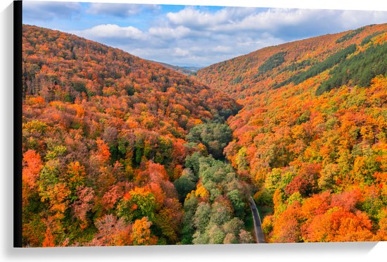 Canvas - Uitzicht van een Kleurrijk Bos in de Herfst - 90x60 cm Foto op Canvas Schilderij (Wanddecoratie op Canvas)