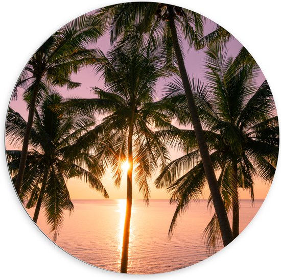 Dibond Muurcirkel - Tropische Palmbomen voor Oceaan en Zonsondergang - 100x100 cm Foto op Aluminium Muurcirkel (met ophangsysteem)