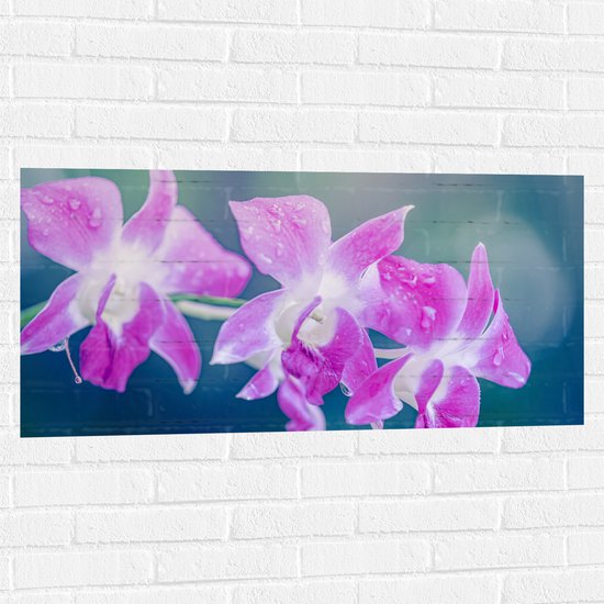 Muursticker - Orchidee Bloemen met Waterspetters - 100x50 cm Foto op Muursticker
