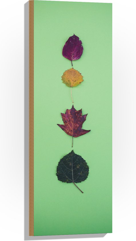 WallClassics - Hout - Verschillende Bladeren op Pastelgroene Achtergrond - 30x90 cm - 9 mm dik - Foto op Hout (Met Ophangsysteem)