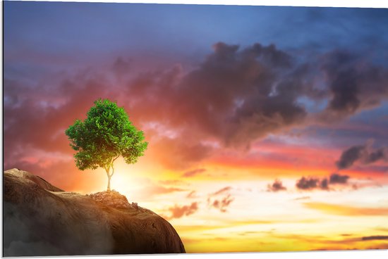 Dibond - Fel Groen Gekleurde Boom met Prachtige Zonsondergang op een Berglandschap - 90x60 cm Foto op Aluminium (Wanddecoratie van metaal)