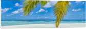Acrylglas - Palmbladeren Hangend voor Tropisch Eiland met Breed Strand - 120x40 cm Foto op Acrylglas (Met Ophangsysteem)