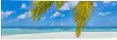 Dibond - Palmbladeren Hangend voor Tropisch Eiland met Breed Strand - 120x40 cm Foto op Aluminium (Wanddecoratie van metaal)