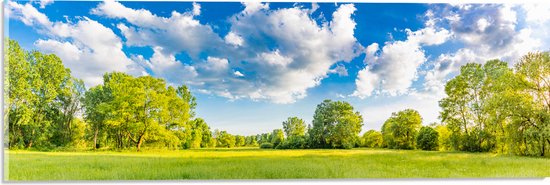 Acrylglas - Natuur Weide in de Lente - 60x20 cm Foto op Acrylglas (Met Ophangsysteem)