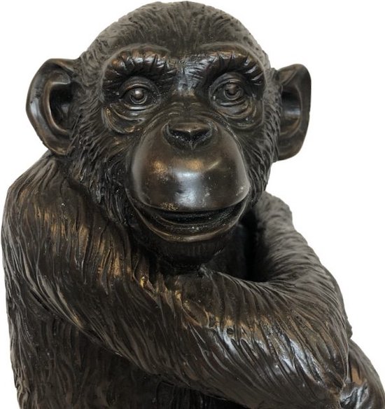 Prachtig bronzen beeld van een aap, Bronze statue monkey, hoogte: 20 cm breedte: 24 cm lengte: 35 cm