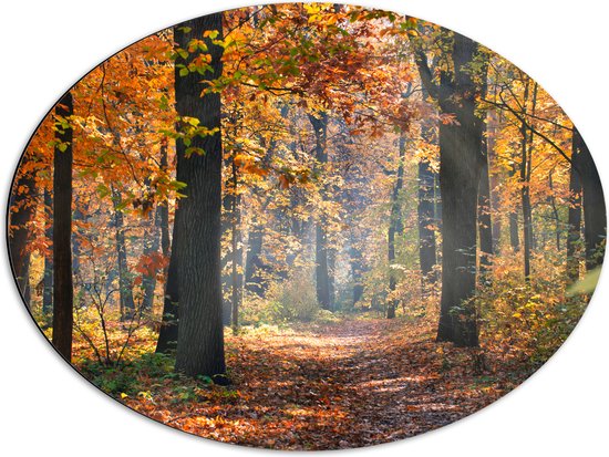 Dibond Ovaal - Bos met Oranje Blaadjes in de Herfst - 68x51 cm Foto op Ovaal (Met Ophangsysteem)