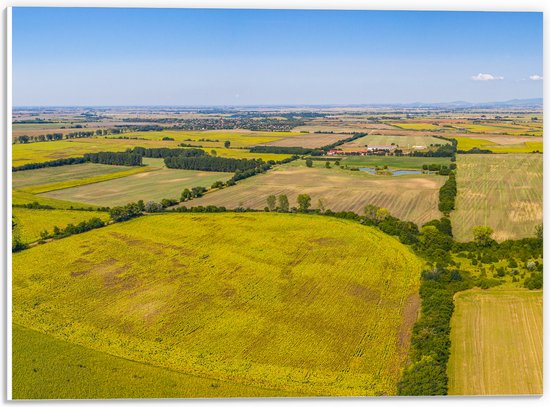 PVC Schuimplaat- Bovenaanzicht Landschap met Gras en Planten - 40x30 cm Foto op PVC Schuimplaat