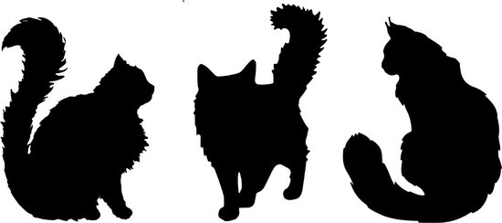 Decoratieve Raam sticker 3 fluffy katten - Cats - Harige Poezen - Dieren - Muursticker Wall Art -