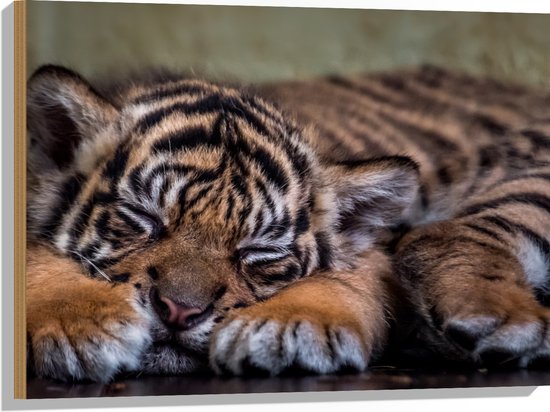 Hout - Slapende Sumatraaanse Babytijger - 80x60 cm - 9 mm dik - Foto op Hout (Met Ophangsysteem)