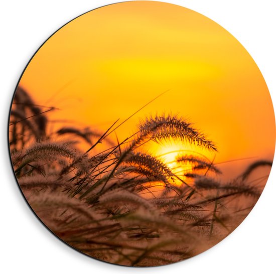 Dibond Muurcirkel - Stappel Grassen bij Felkleurige Zonsondergang in het Oranje - 40x40 cm Foto op Aluminium Muurcirkel (met ophangsysteem)