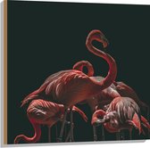 WallClassics - Hout - Roze Flamingo's met Zwarte Achtergrond - 80x80 cm - 9 mm dik - Foto op Hout (Met Ophangsysteem)