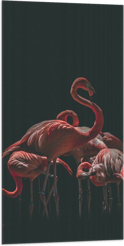 WallClassics - Vlag - Roze Flamingo's met Zwarte Achtergrond - 50x100 cm Foto op Polyester Vlag